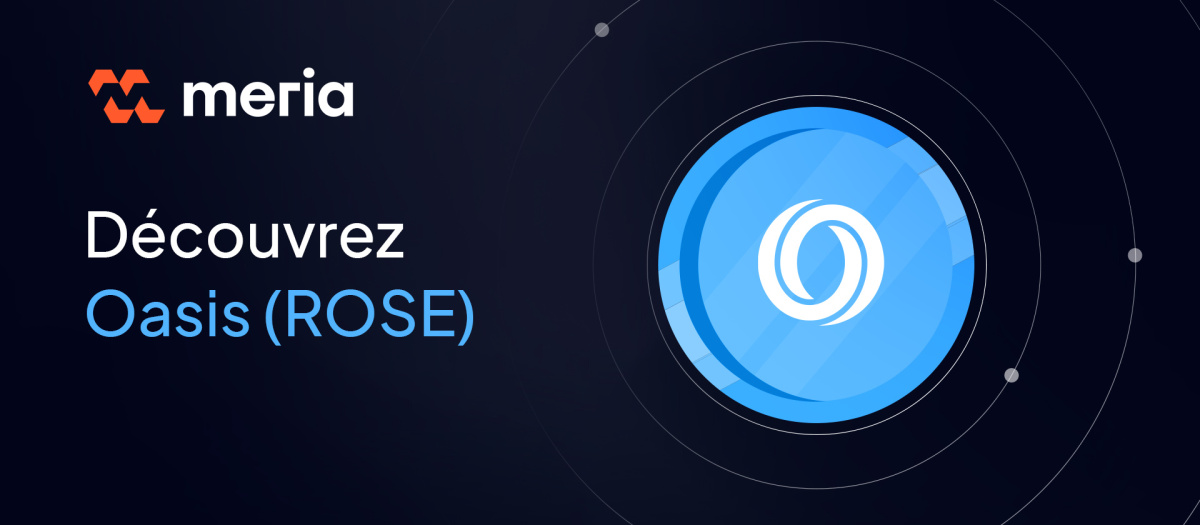 Qu’est-ce que Oasis Network ?