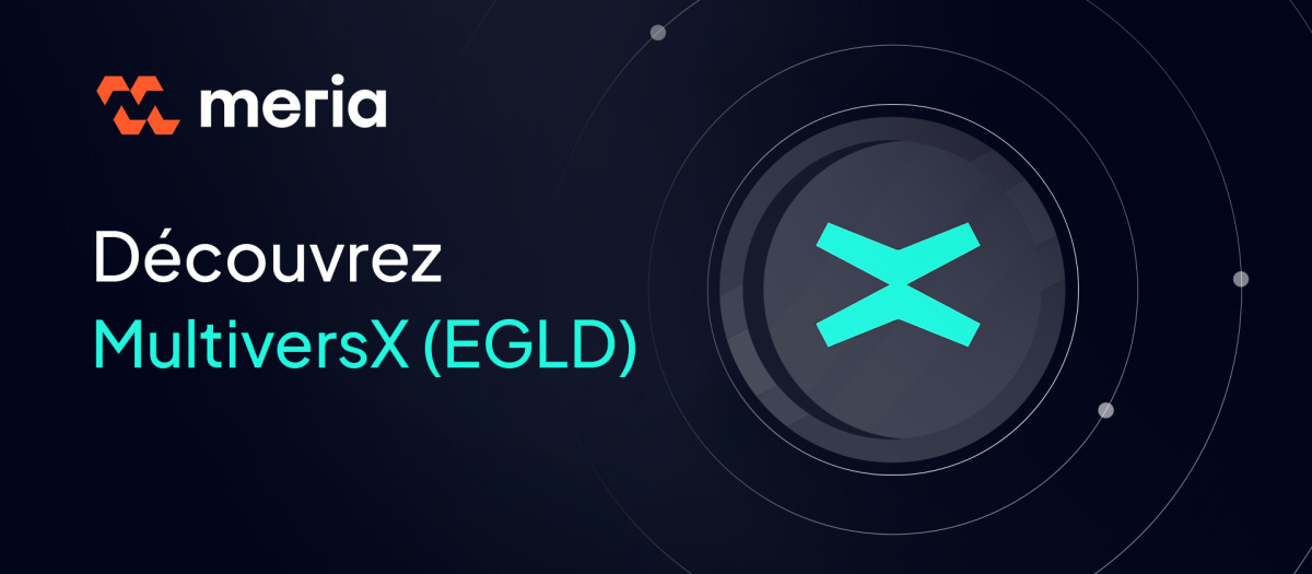Qu'est-ce que MultiversX (ex Elrond) ?