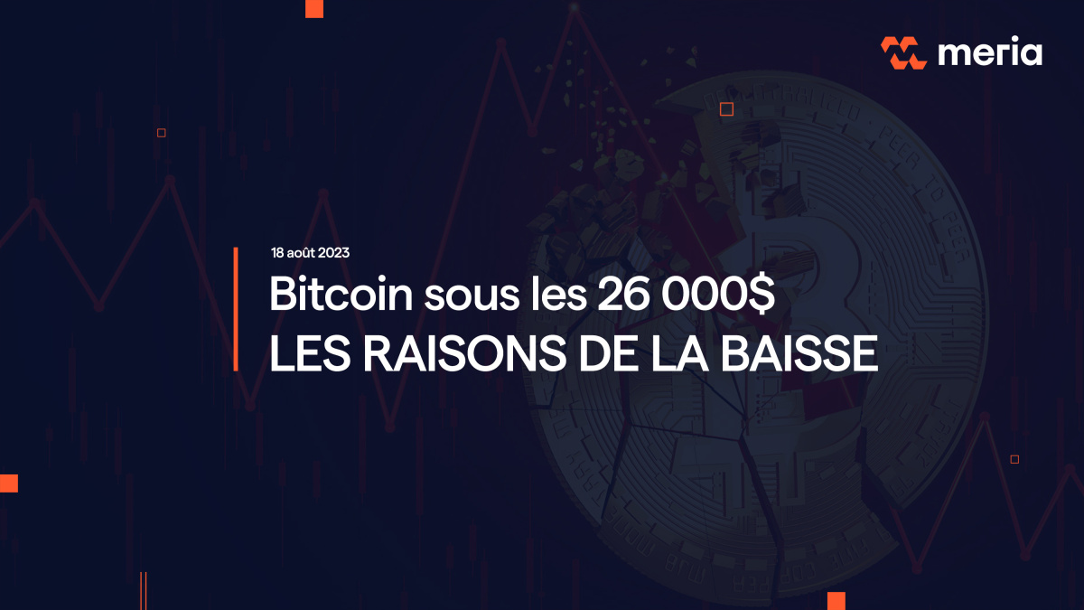 Bitcoin : Les raisons de la baisse