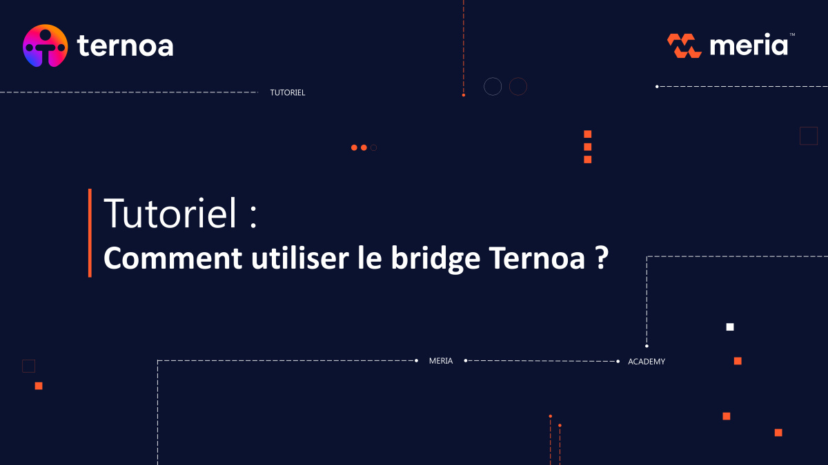 Tutoriel : Comment utiliser le bridge Ternoa ?