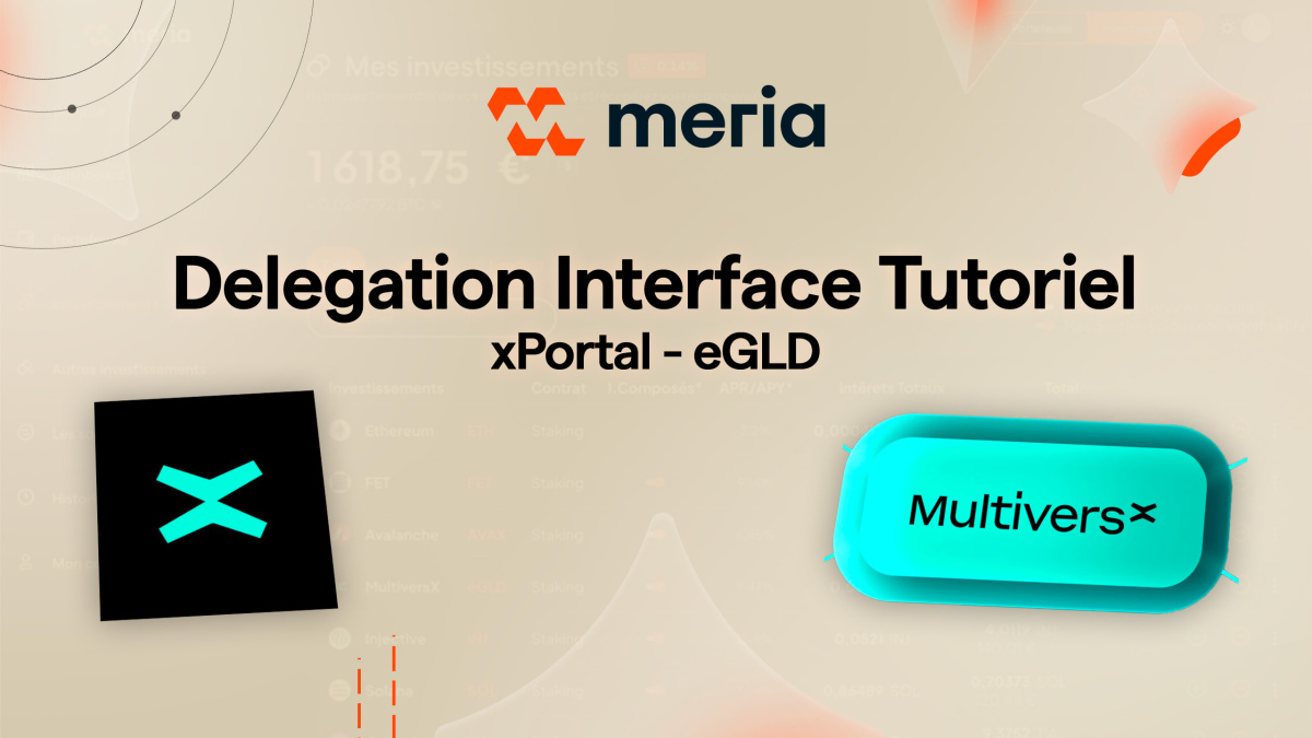 Delegation interface Tutorial - xPortal - eGLD