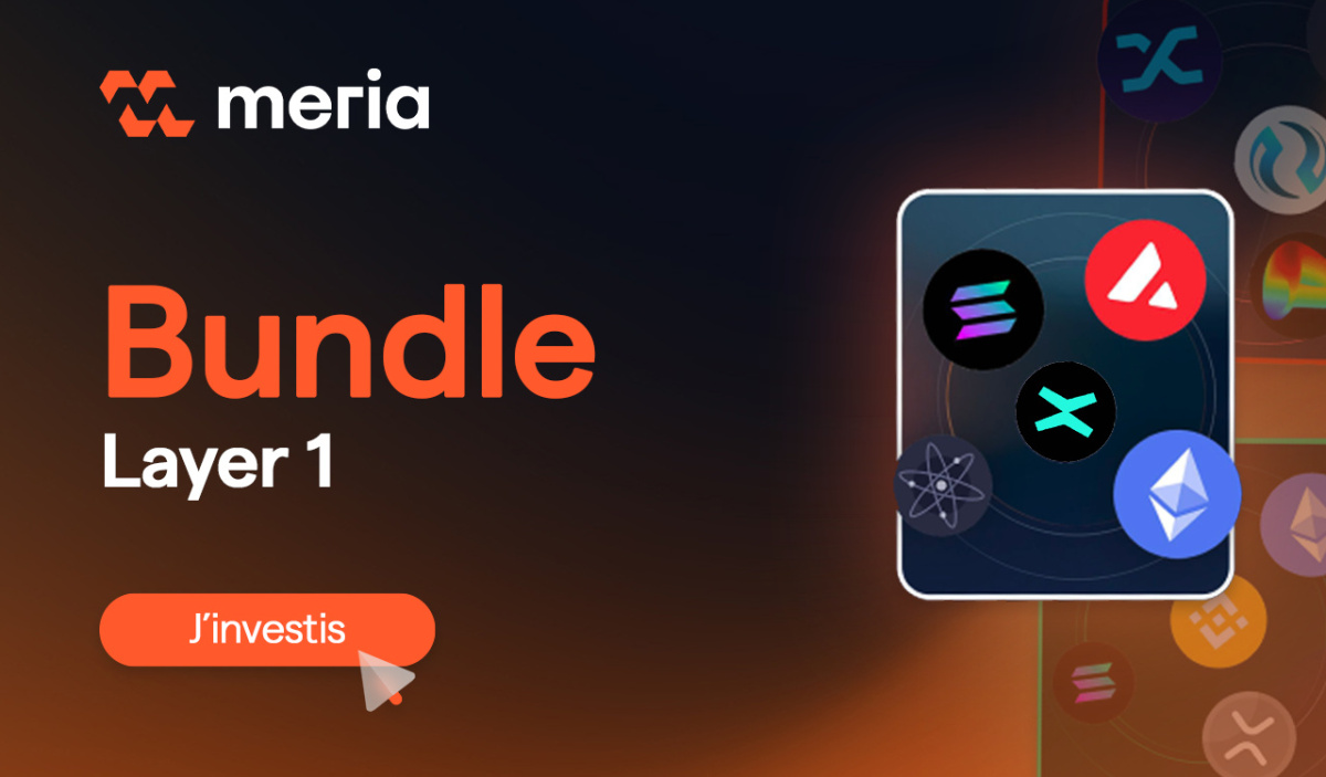 Bundle Layer 1 : Investissez dans les cryptomonnaies de blockchains de layer 1