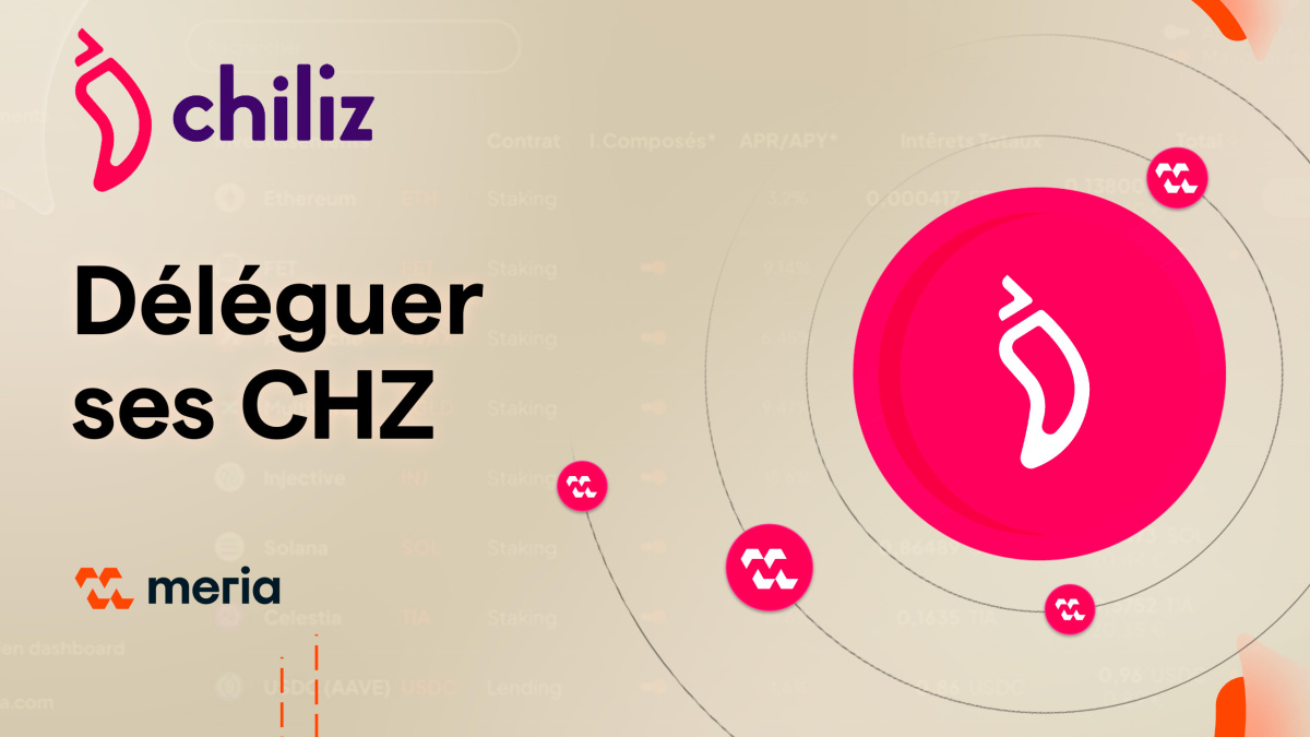 Tutoriel - Déléguez vos tokens CHZ depuis votre wallet Metamask