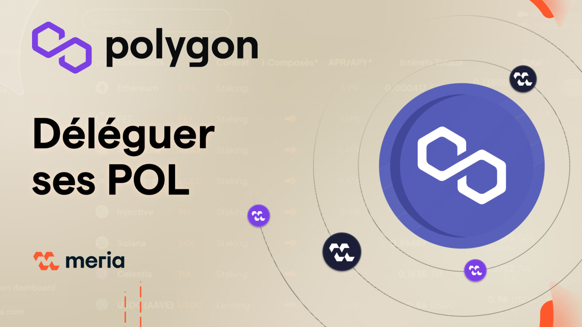 Tutoriel - Déléguez vos tokens POL depuis votre wallet Metamask