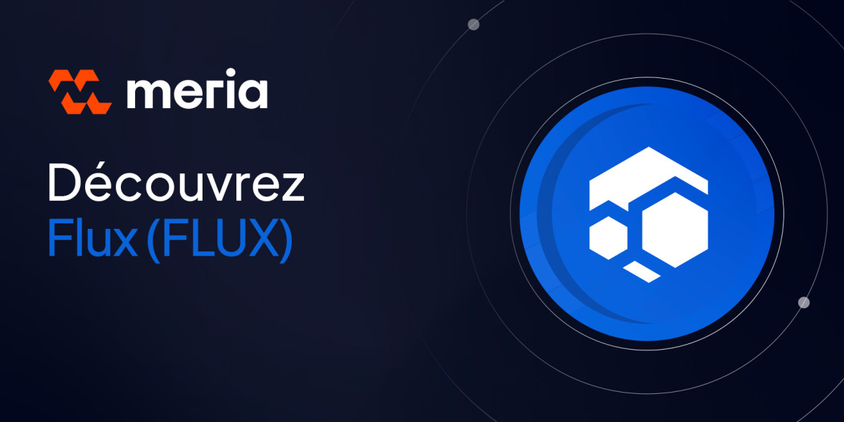 La cryptomonnaie FLUX et sa blockchain en Proof of Useful Work
