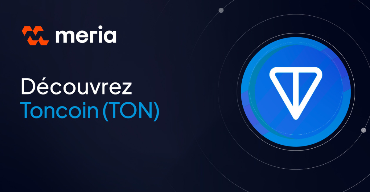 Qu'est-ce que la crypto TON ?