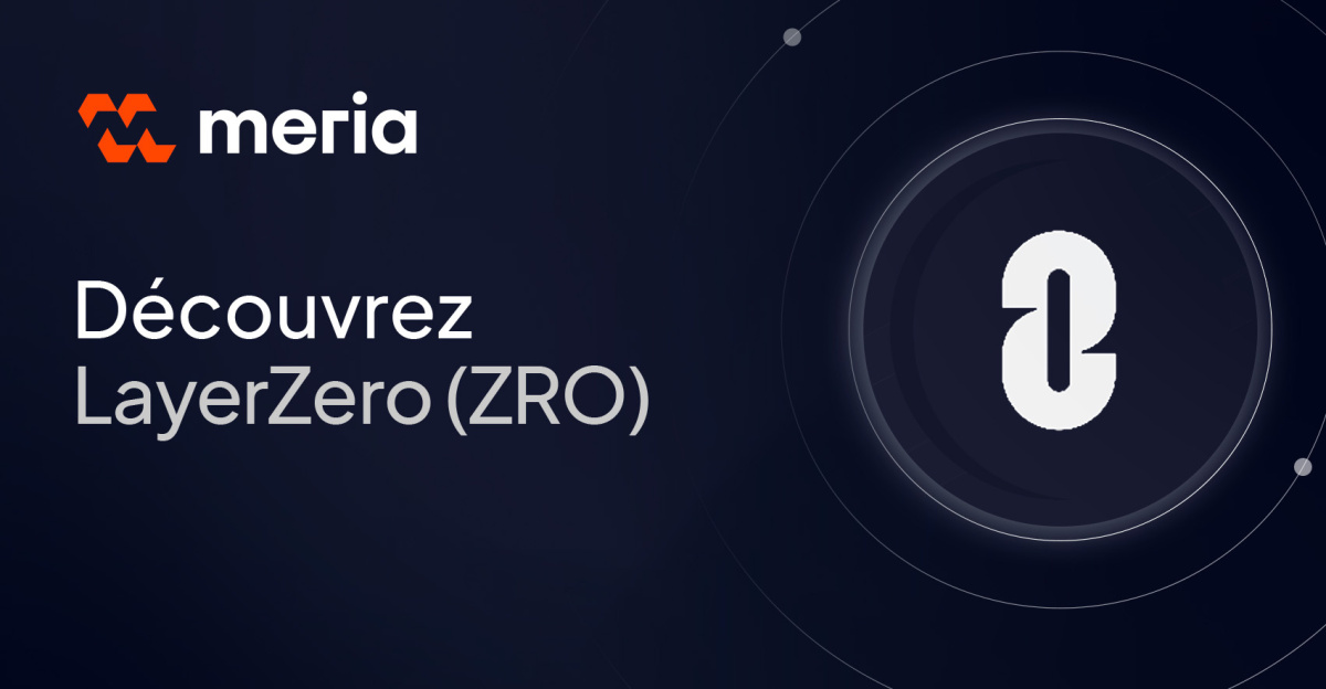 Qu'est-ce que la crypto ZRO et la blockchain LayerZero ?