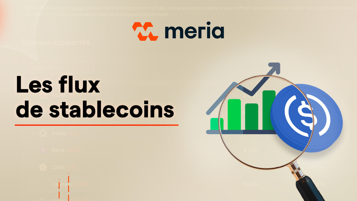 Les stablecoins : un indicateur du marché crypto sous-estimé