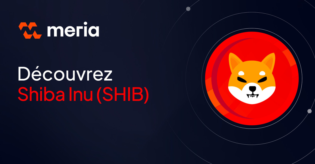 Qu'est-ce que la crypto SHIB ? Le fameux memecoin du projet Shiba Inu