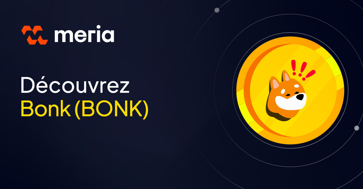 Qu'est-ce que BONK ? Le memecoin phare de la blockchain Solana