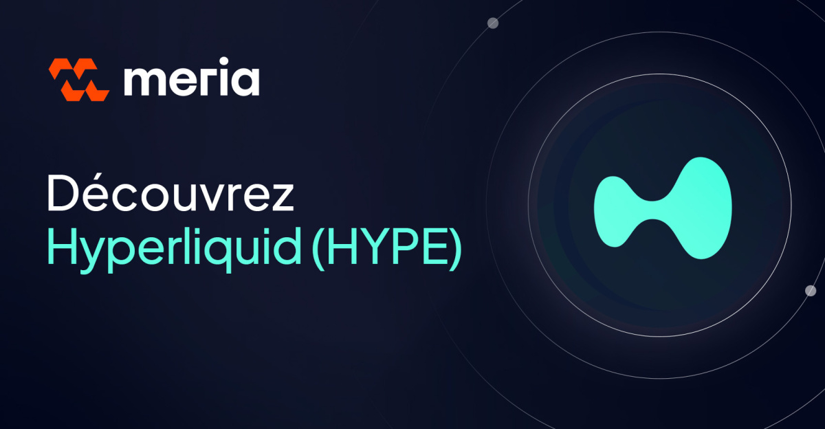 Qu'est-ce que Hyperliquid et la cryptomonnaie HYPE ?