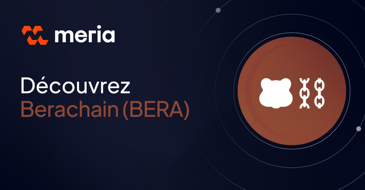 Qu'est-ce que la blockchain Berachain et la cryptomonnaie BERA ?