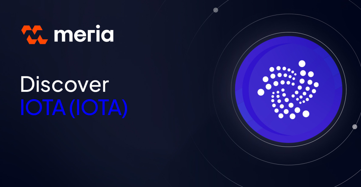 What is the IOTA blockchain and its cryptocurrency IOTA?