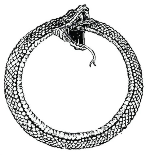 ouroboros cardano symbole