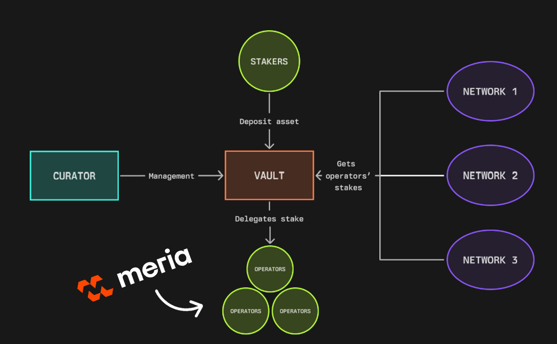 meria within symbiotic infrastructure