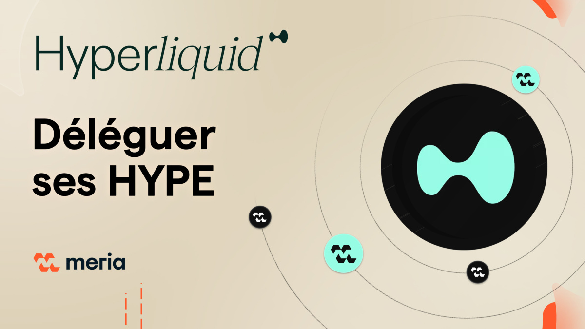 Staking Hyperliquid (HYPE) : Tutoriel de A à Z | Meria