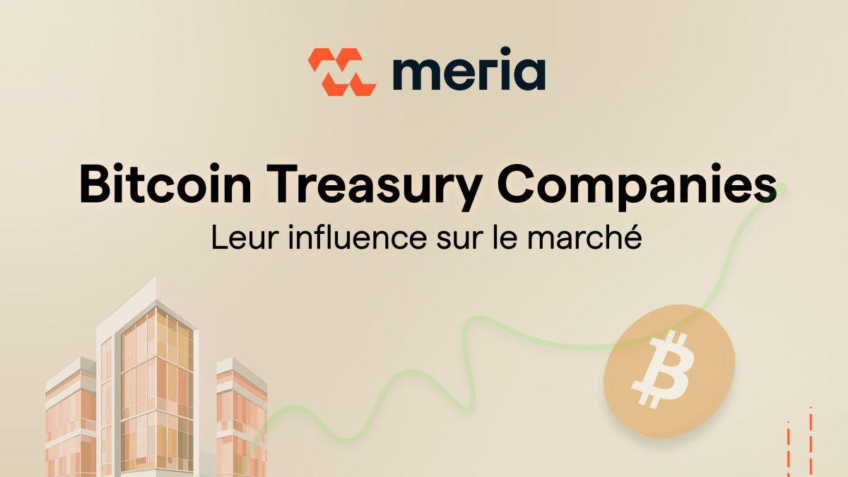 Bitcoin Treasury Companies : leur influence sur les marchés et les  investissements de trésorerie | Meria