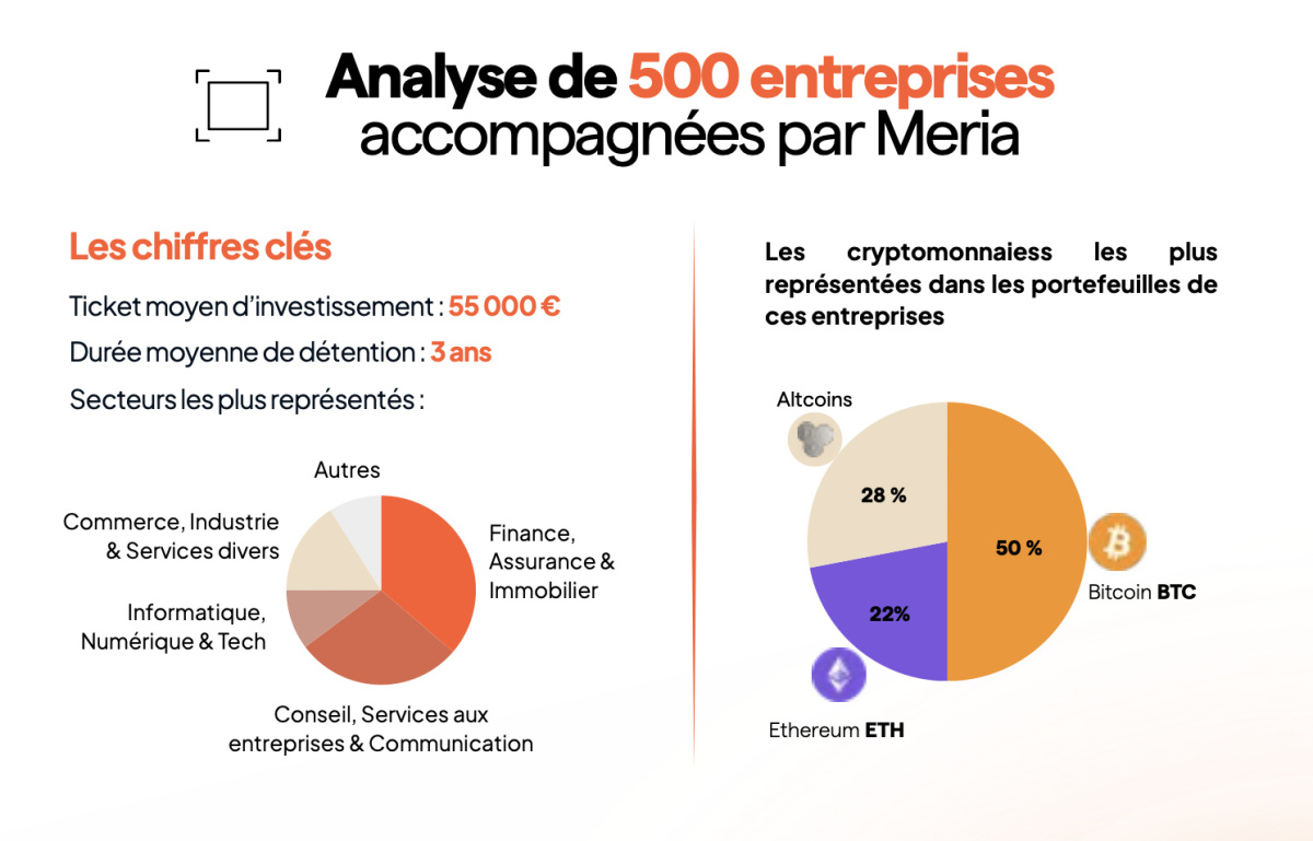 Bitcoin Treasury Companies : leur influence sur les marchés et les  investissements de trésorerie | Meria