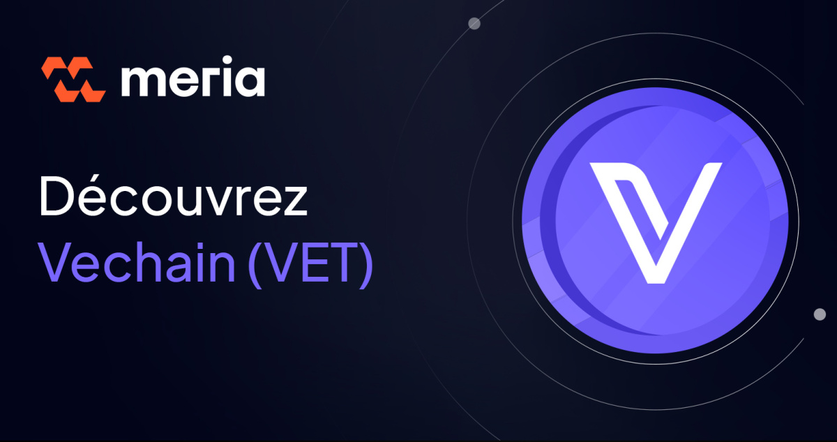 Qu'est ce que Vechain ? L'infrastructure pour l'adoption du Web3 à grande échelle