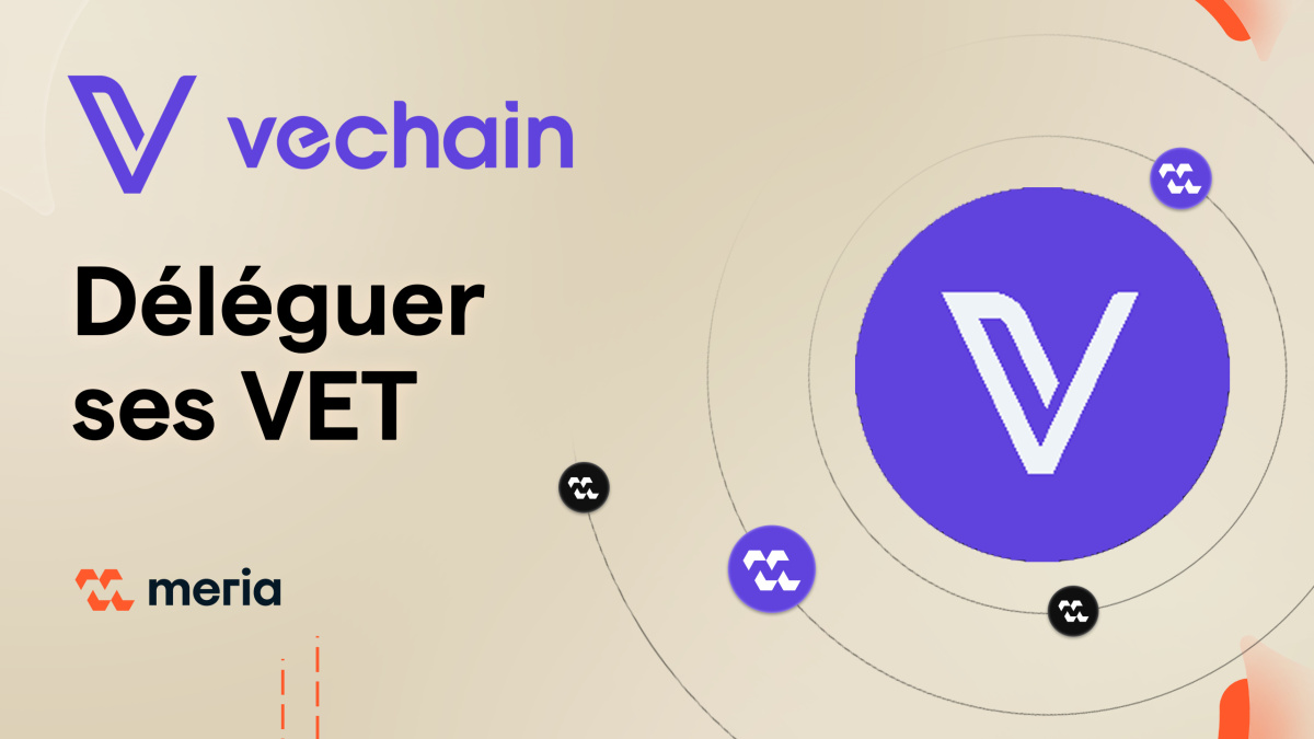 Nos articles | Meria