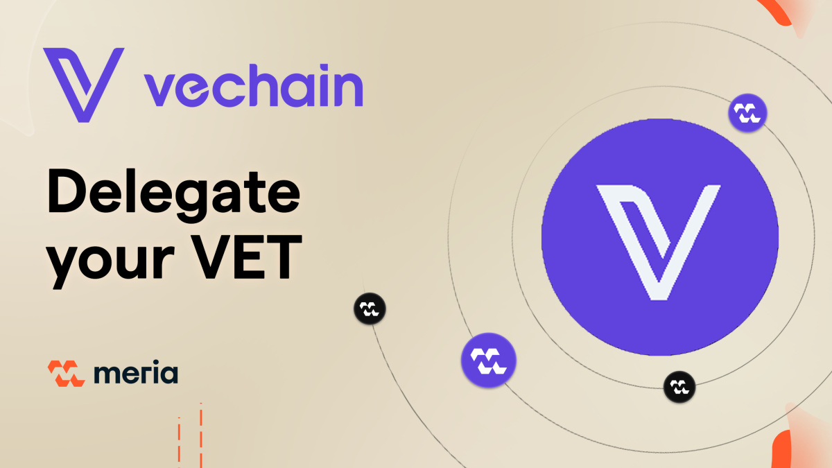 Top 100 Crypto-Monnaies : Classement & Informations Clés | Meria