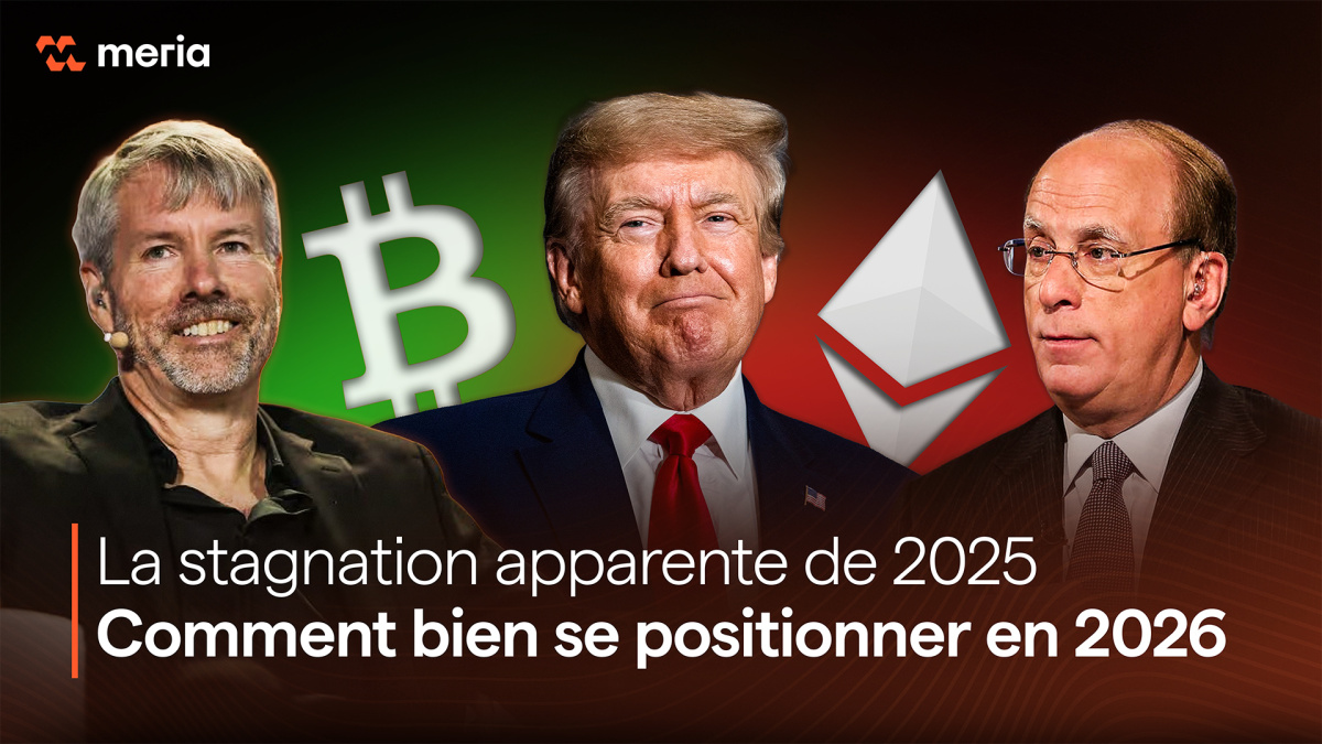 Top 100 Crypto-Monnaies : Classement & Informations Clés | Meria