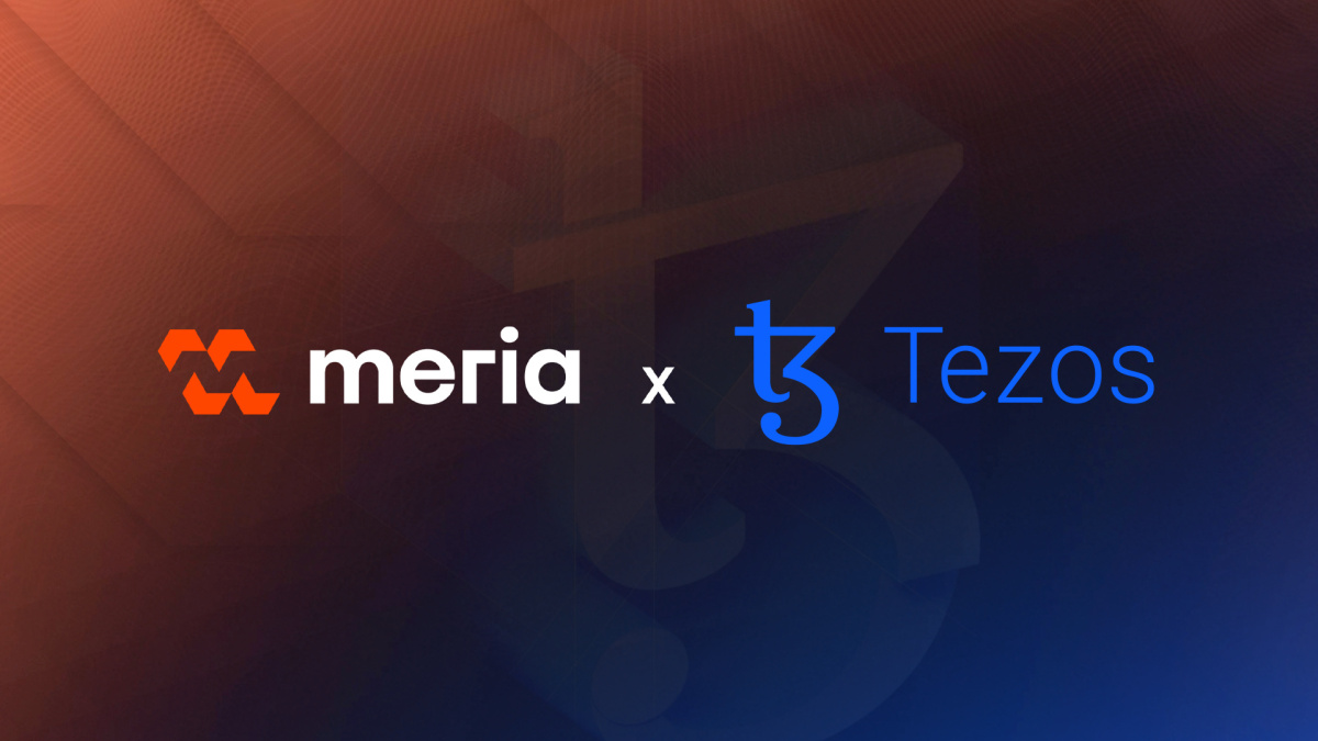 Top 100 Crypto-Monnaies : Classement & Informations Clés | Meria