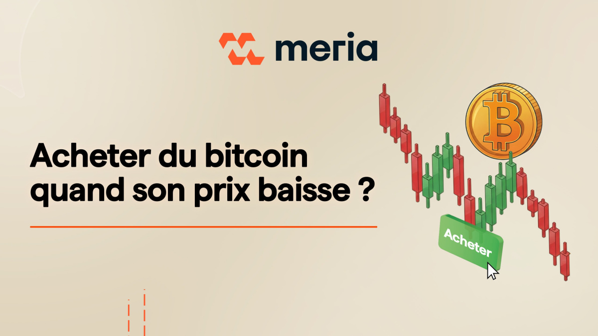 Illustration Acheter Bitcoin quand son prix baisse : Bonne ou mauvaise idée ?