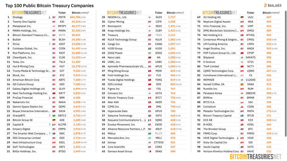 top-100-public-companies-btc