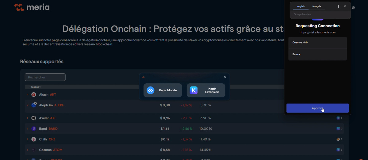 delegation tokens