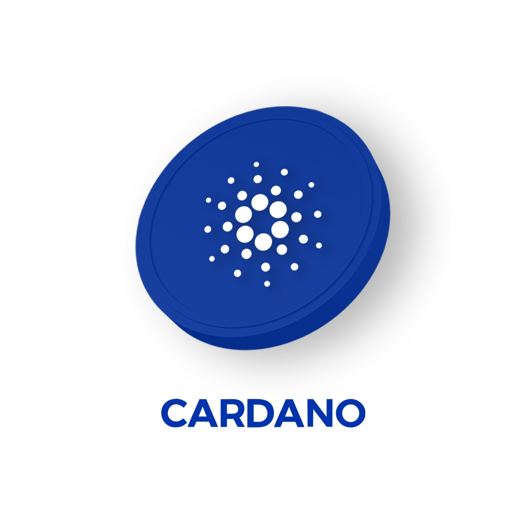 Le staking de $ADA : tout savoir sur Cardano | Meria